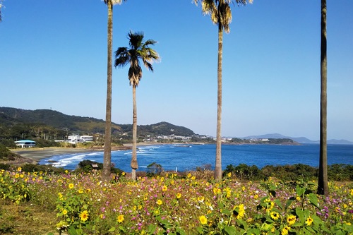 日向 日向サンパーク温泉 お舟出の湯 周辺のホテル 宿泊予約 格安ホテル予約 最安値検索 ホテルズドットコム 日向 日向サンパーク温泉 お舟出の湯 周辺のホテル 宿泊予約 格安ホテル予約 最安値検索 ホテルズドットコム