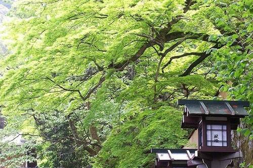 長楽寺宿坊 遊行庵 京都市 の宿泊予約 ホテルズドットコム 長楽寺宿坊 遊行庵 京都市 の宿泊予約 ホテルズドットコム