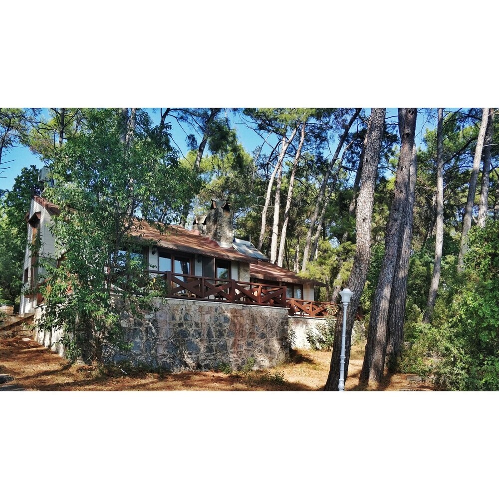 orman kampi tas evleri ula hotels com