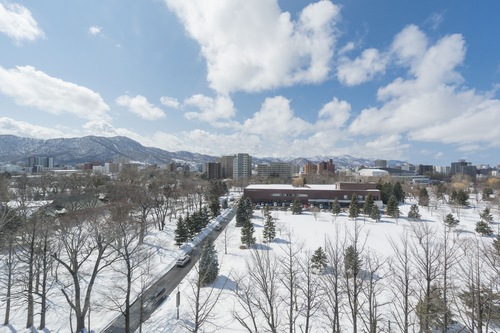 札幌中島公園我的住宿酒店 札幌 日本酒店優惠 Hotels Com