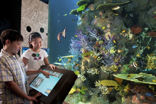 Book Resorts World Sentosa Equarius Hotel Sg Clean In Singapore Hotels Com Book Resorts World Sentosa Equarius Hotel Sg Clean In Singapore Hotels Com