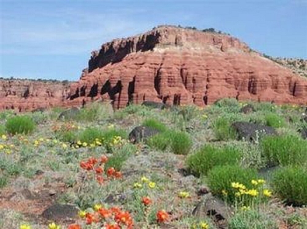 Book The Snuggle Inn in Loa