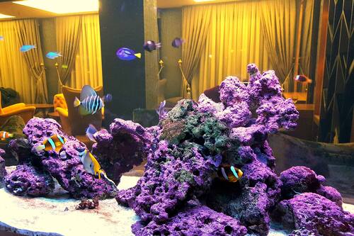 book lale boutique hotel in sapanca