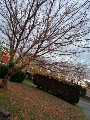 Top des h  tels Saintes R  servez sur Hotels com Annulation sur