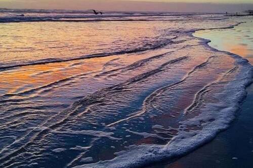 Black Dolphin Inn New Smyrna Beach Hotels Com Black Dolphin Inn New Smyrna Beach Hotels Com