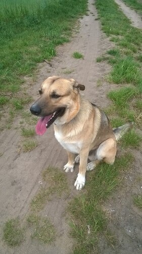 クラインラングハイム のホテル 宿泊予約 格安ホテル予約 最安値検索 ホテルズドットコム 多数の宿泊施設のキャンセル無料