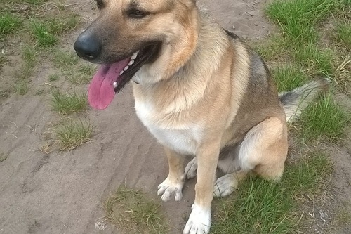 クラインラングハイム のホテル 宿泊予約 格安ホテル予約 最安値検索 ホテルズドットコム 多数の宿泊施設のキャンセル無料 クラインラングハイム のホテル 宿泊予約 格安ホテル予約 最安値検索 ホテルズドットコム 多数の宿泊施設のキャンセル無料