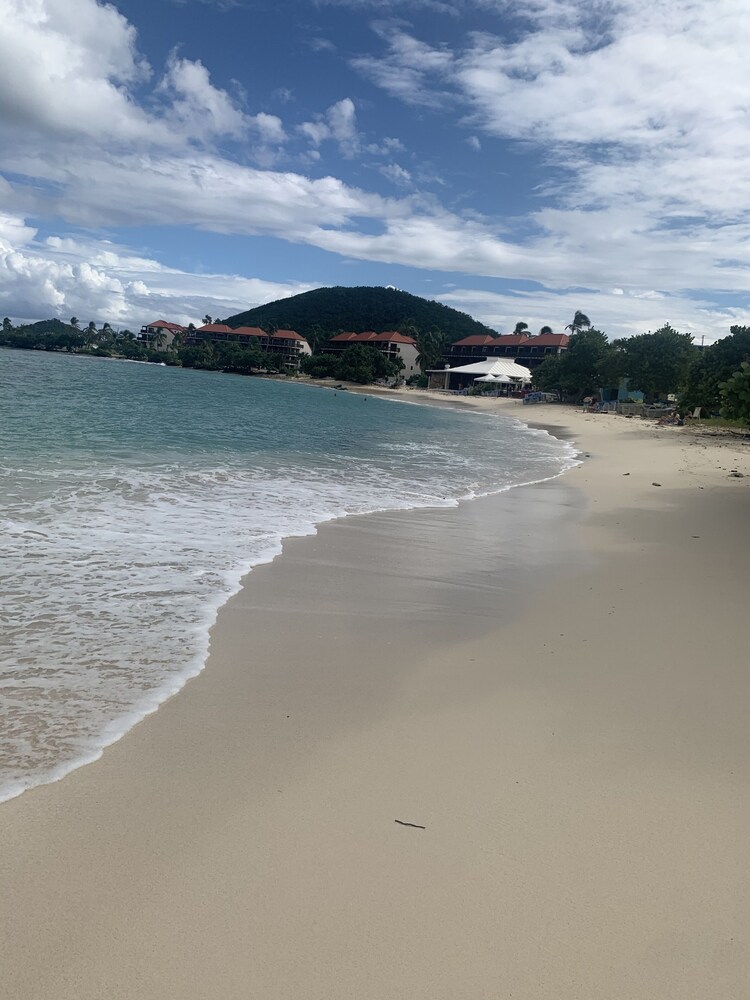 amazing new/modern condo