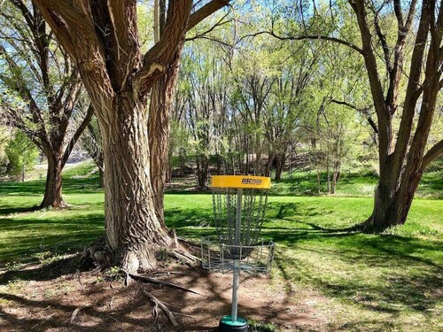 Top Pet Friendly Hotels In Montrose Colorado Hotelscom