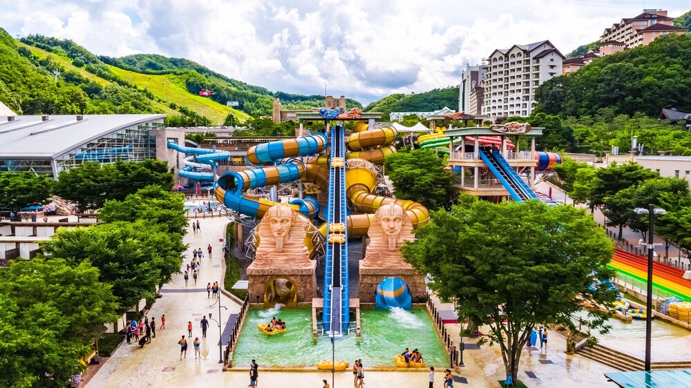 Sono Pet Clubs Resorts Vivaldi Park ホンチョン の宿泊予約 ホテルズドットコム