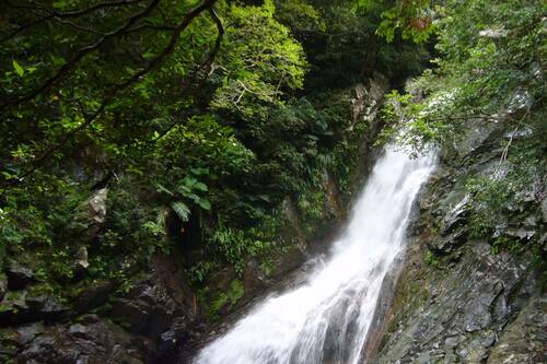 アダ ガーデンホテル沖縄 国頭 の宿泊予約 ホテルズドットコム アダ ガーデンホテル沖縄 国頭 の宿泊予約 ホテルズドットコム