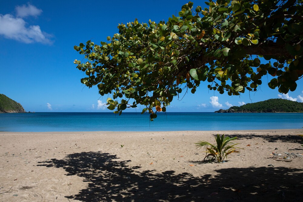 Book Icis Villas In Brewers Bay Hotels Com