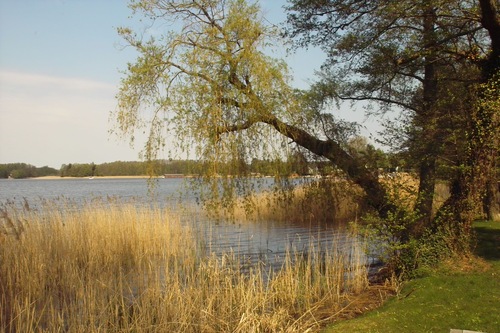 egyetlen lakás rheinsberg