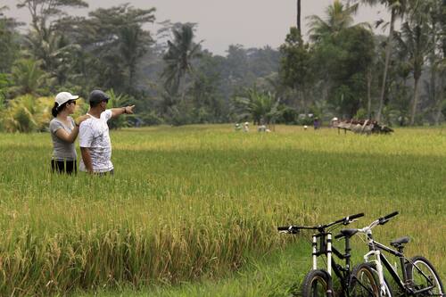 Book Puri Gangga Resort Ubud In Sebatu Hotels Com Book Puri Gangga Resort Ubud In Sebatu Hotels Com