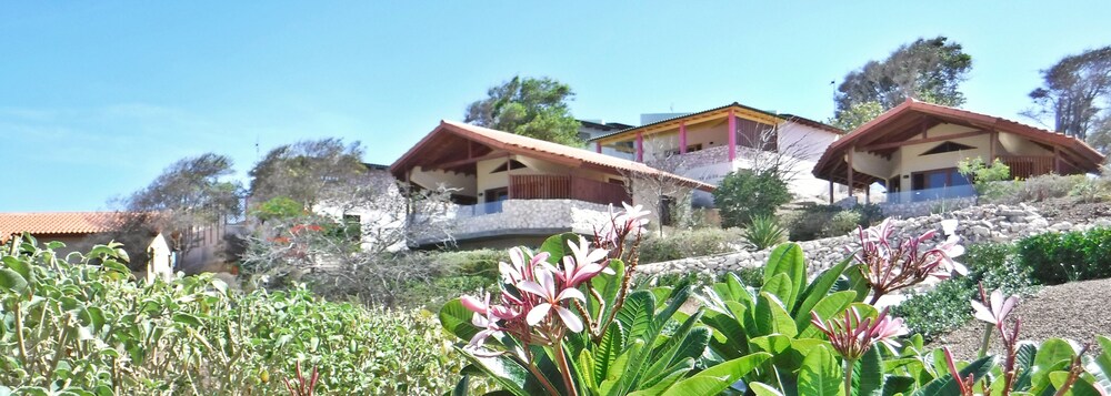 Book The Natural Curacao Book The Natural Curacao
