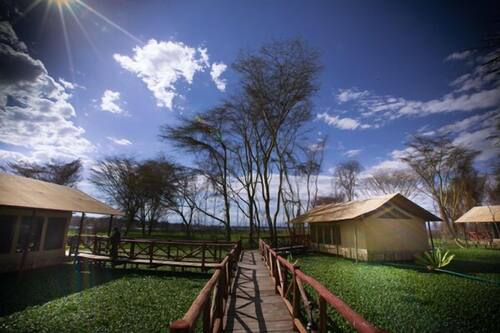 Book Kiboko Luxury Camp In Naivasha Hotels Com Book Kiboko Luxury Camp In Naivasha Hotels Com
