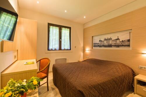 アルビーホテル グリル アルビー シュル シェラン の宿泊予約 ホテルズドットコム