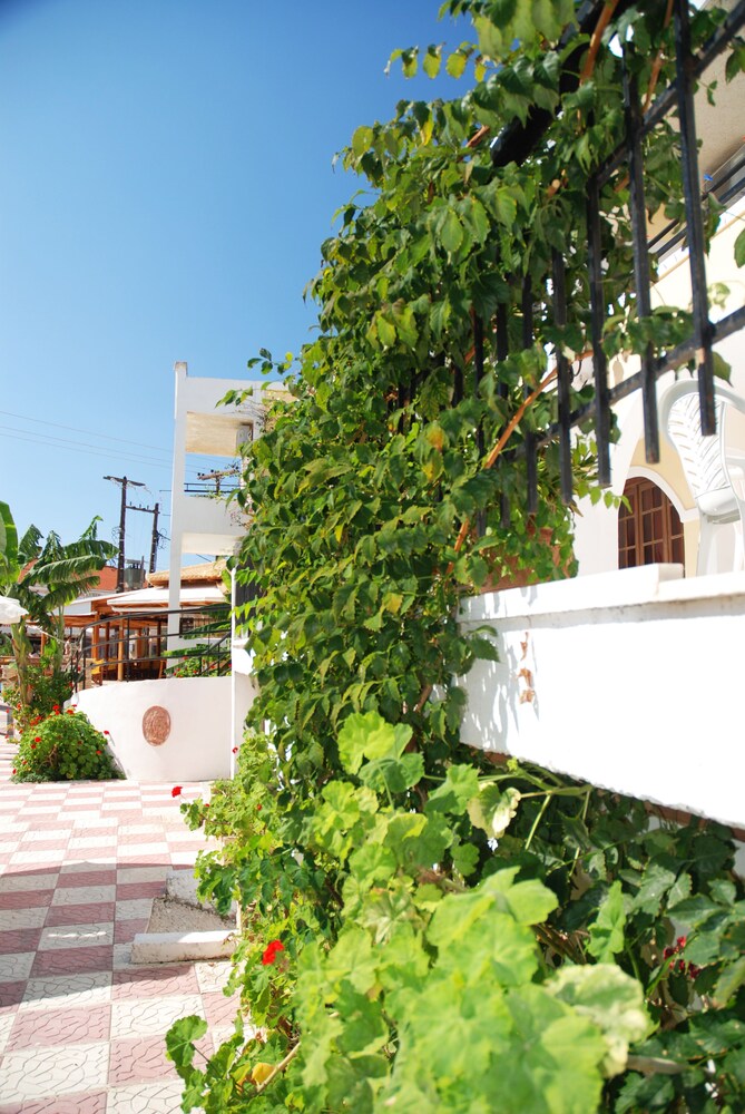 vanessa hotel zakynthos