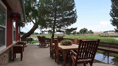 Top Pet Friendly Hotels In Montrose Colorado Hotelscom