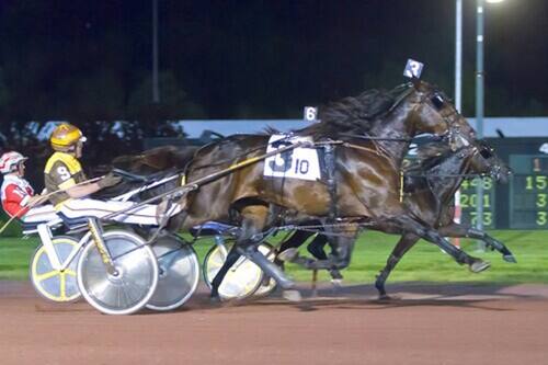 Book Mohegan Sun Pocono Adults Only 21 In Wilkes Barre Hotels Com Harness Racing At Pocono Downs Signature Events For 2022