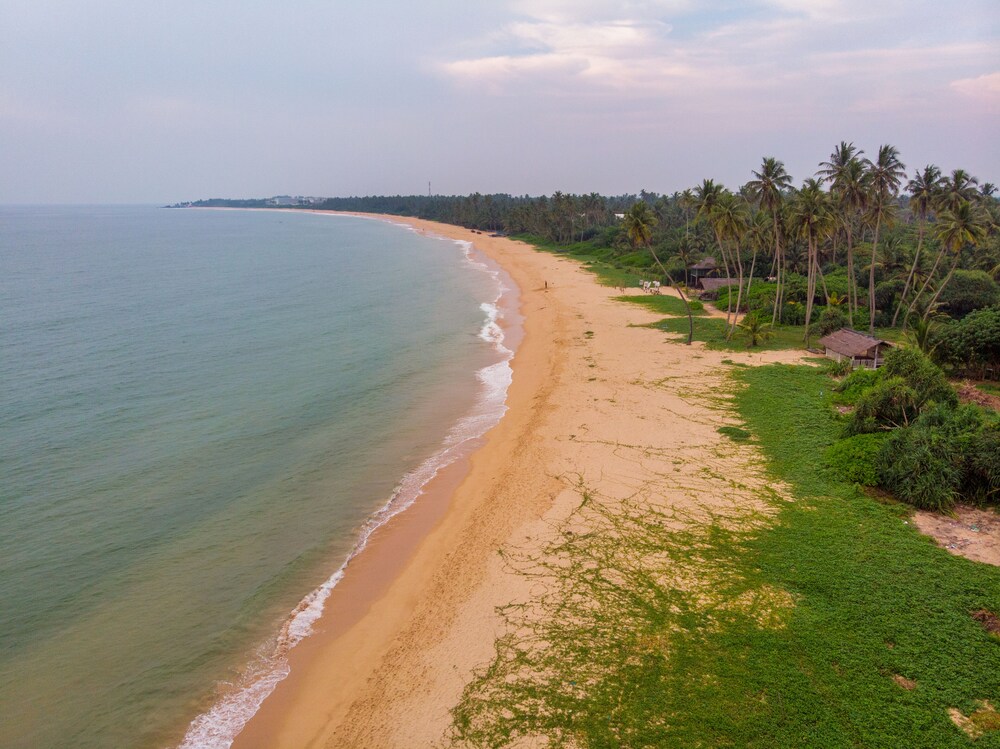 シナガワ ビーチ バラピティヤ の宿泊予約 ホテルズドットコム
