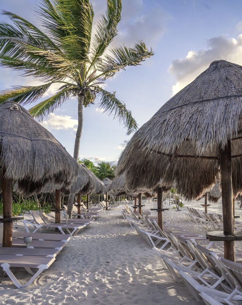 Book Platinum Yucatan Princess Adults Only All Inclusive In Playa Del Carmen Hotels Com