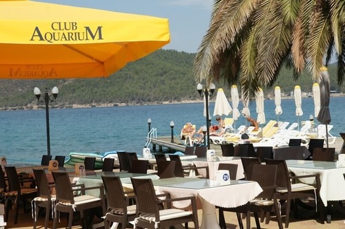 Book Club Aquarium In Bodrum Hotels Com