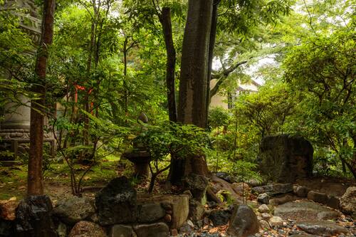 祇園旅館 休兵衛 観光に便利な立地の快適なゲストハウス 宿泊予約はホテルズドットコム