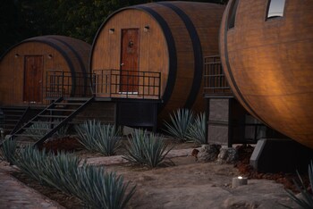 Top 10 Hotels In Tequila Mexico