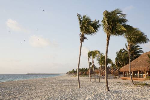 Book Finest Playa Mujeres By The Excellence Collection All Inclusive In Punta Sam Hotels Com Book Finest Playa Mujeres By The Excellence Collection All Inclusive In Punta Sam Hotels Com