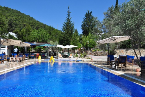 Book Pitahaya Home In Bodrum Hotels Com