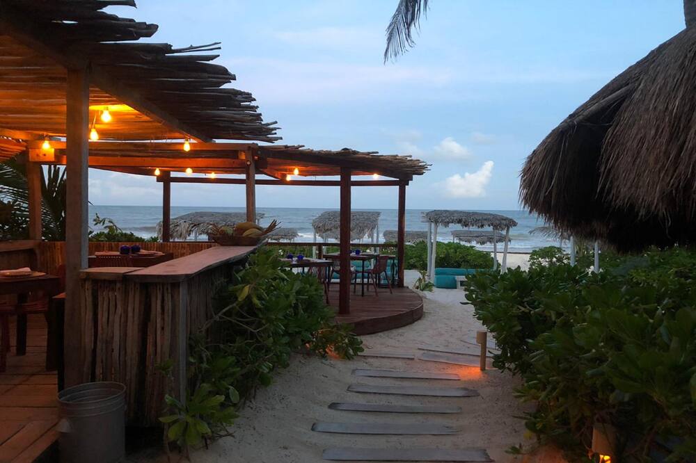 orchid beach club tulum
