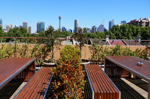 ザ ビレッジ キングス クロス ホステル シドニー の宿泊予約 ホテルズドットコム