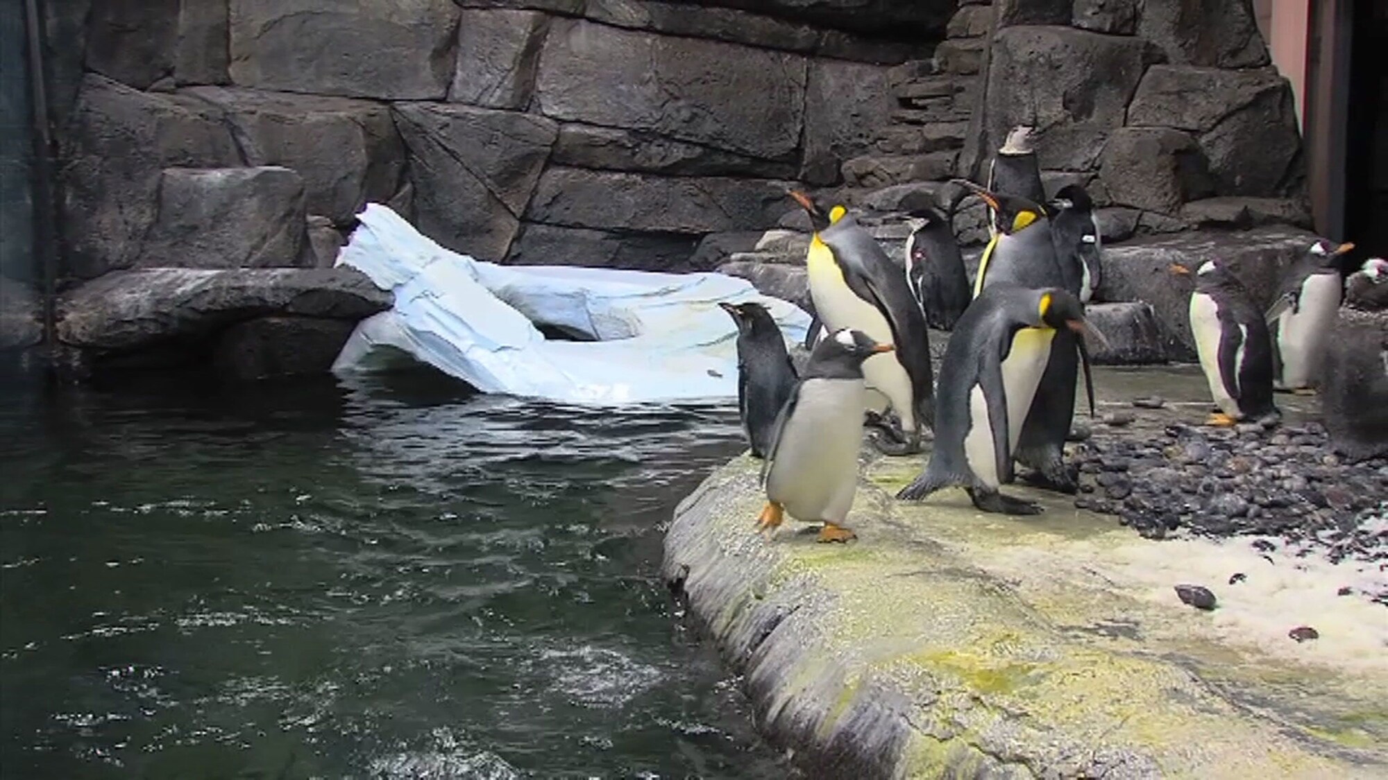 Hawthorn Extended Stay by Wyndham Cincinnati NE/Mason