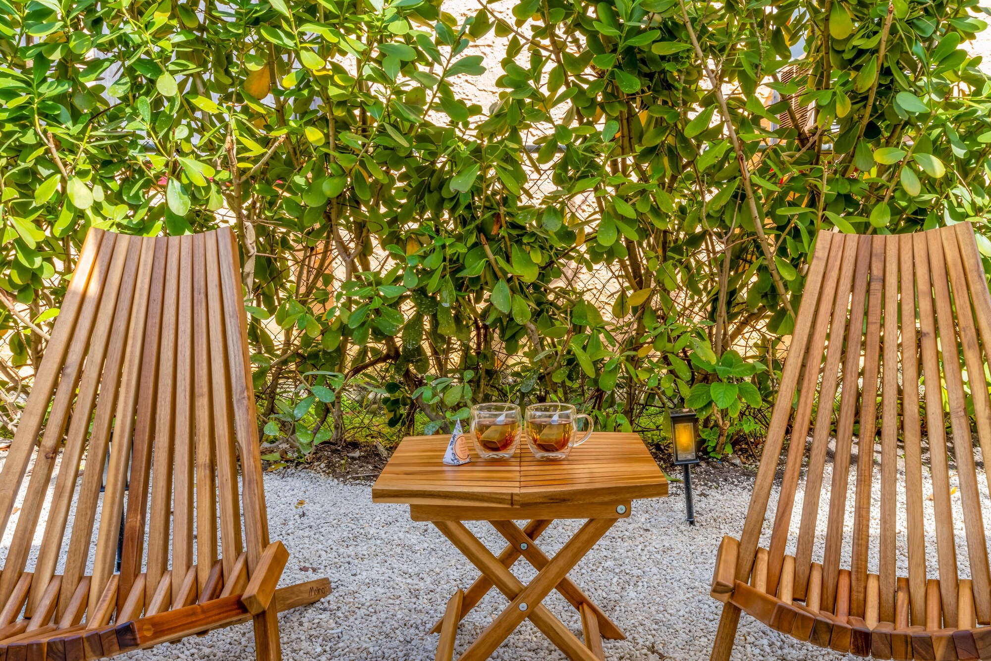  Casa Agave By Renzzi