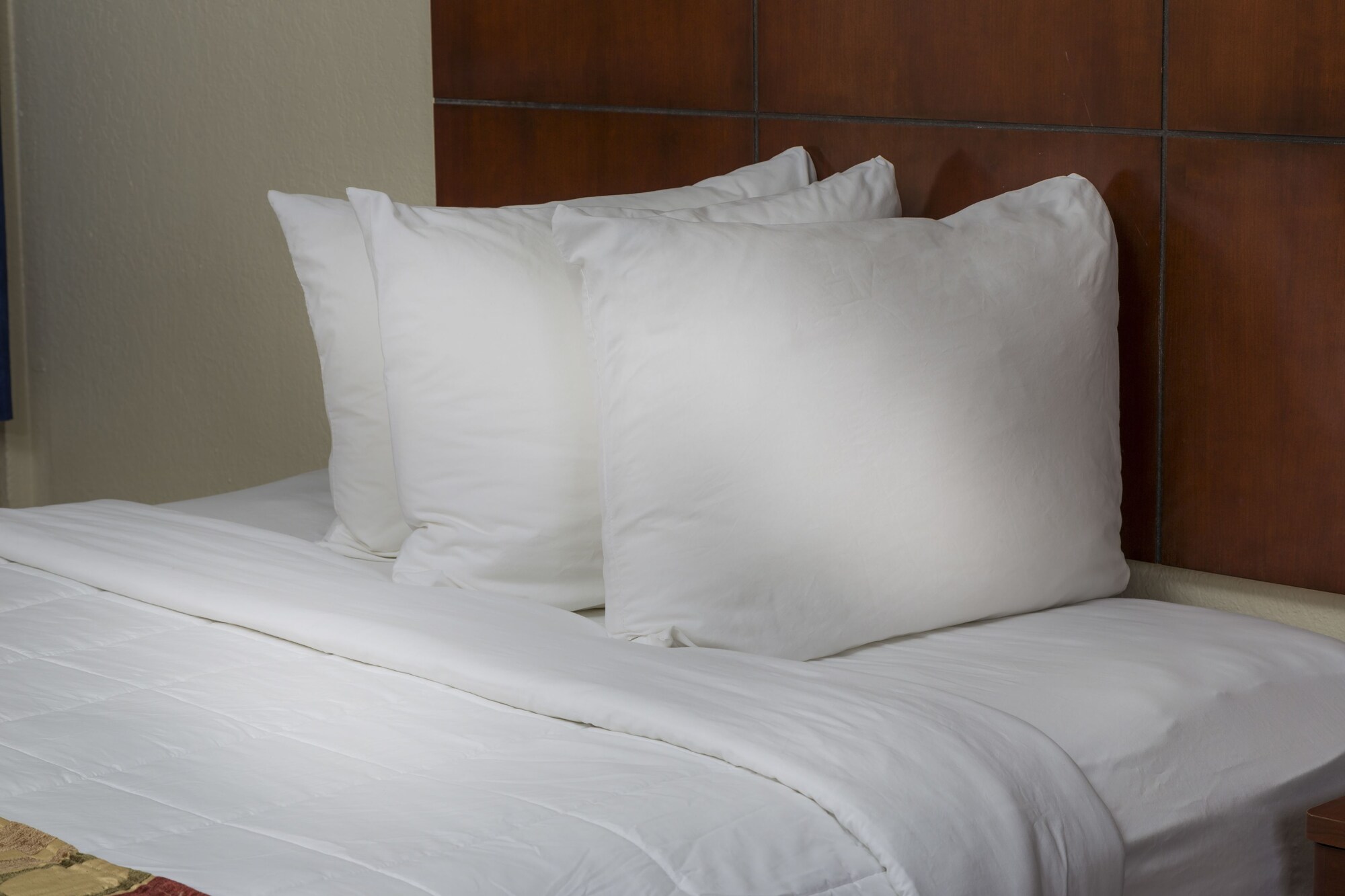 Flamingo Express Hotel