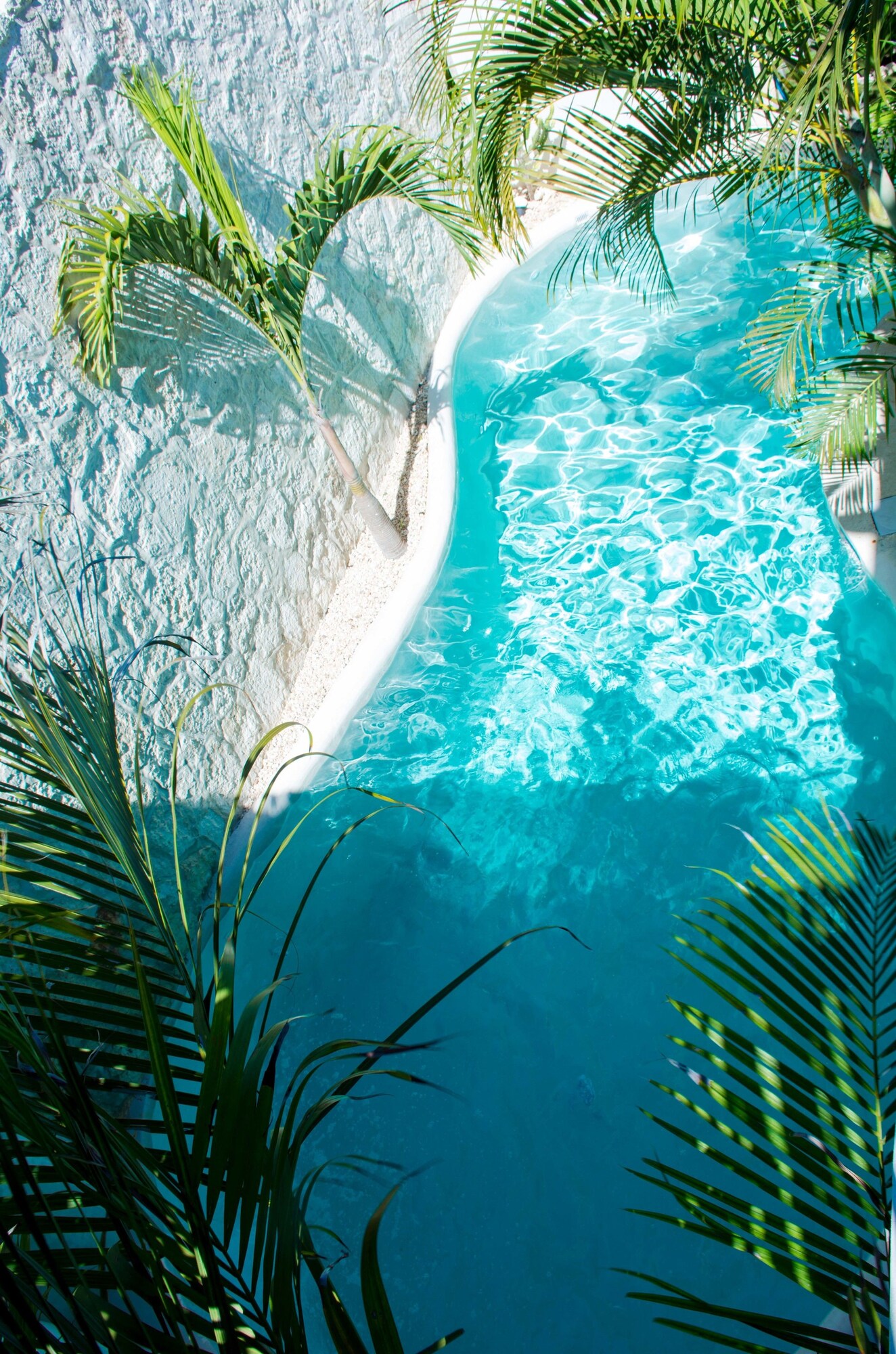 Pacha Tulum Boutique Hotel