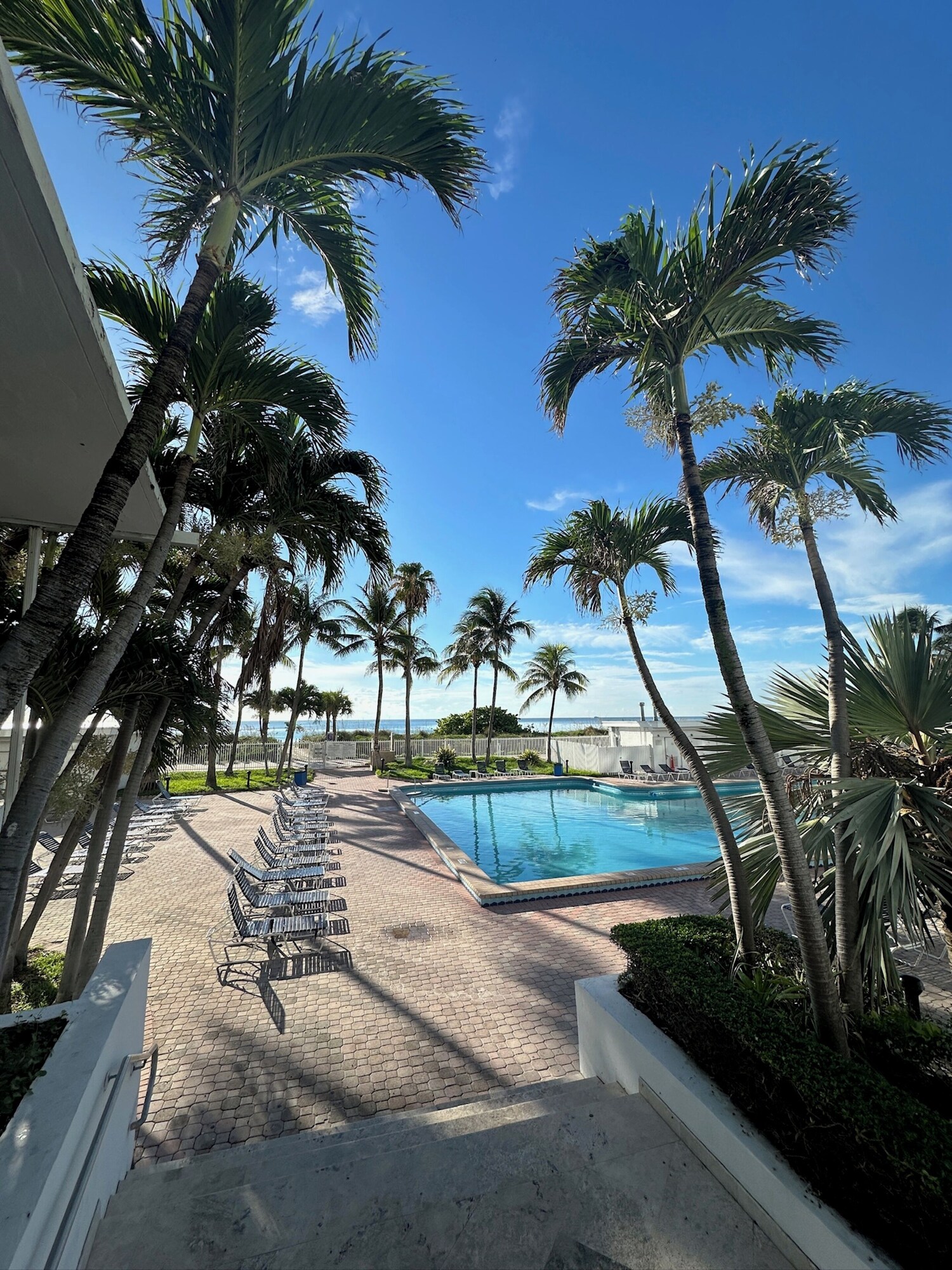 Casablanca Miami Beach